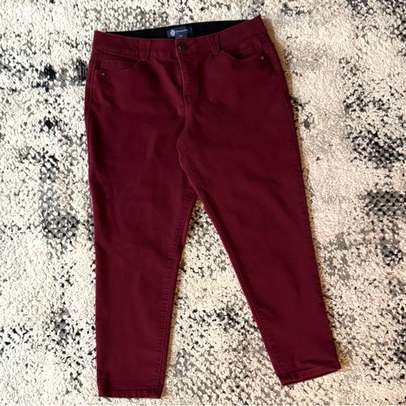 Democracy Denim - Democracy Women's Skinny Jeans in Rich Burgundy